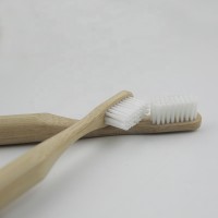 Biodegradable Eco-Friendly Natural Bamboo Charcoal/Nylon Toothbrush